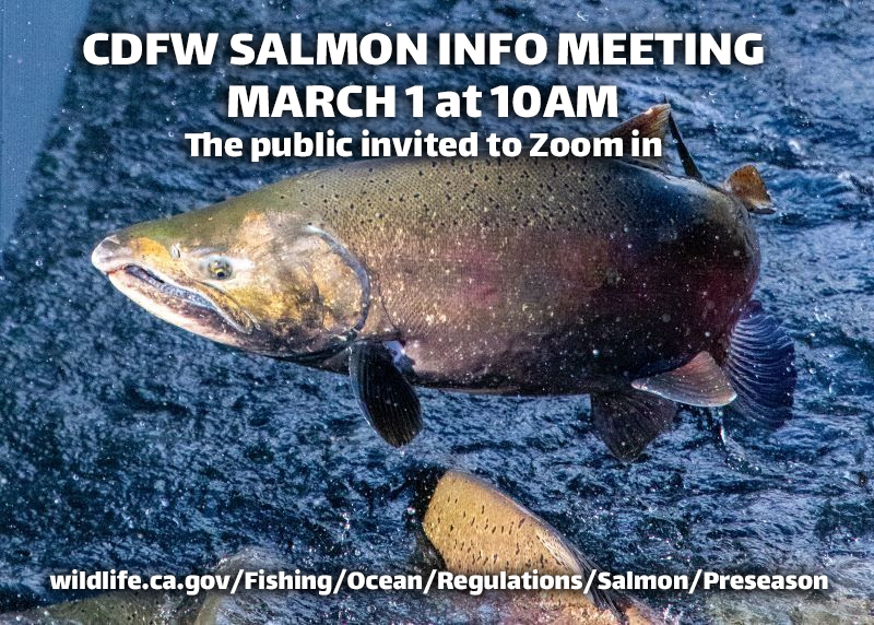 CDFW SALMON INFORMATION MEETING: MARCH 1 AT 10AM, ZOOM IN - NCGASA